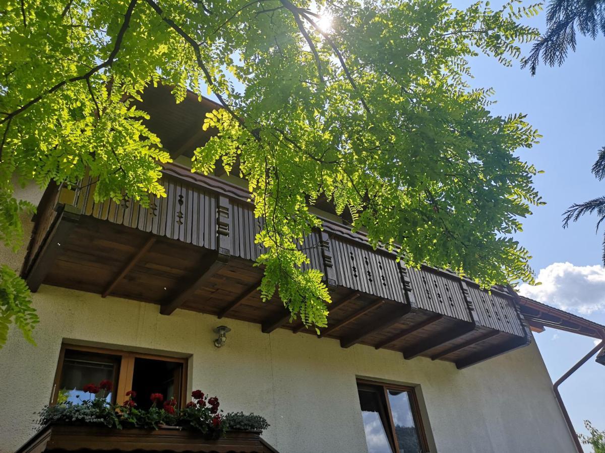 Apartmaji Volf Zgornje Gorje Ngoại thất bức ảnh