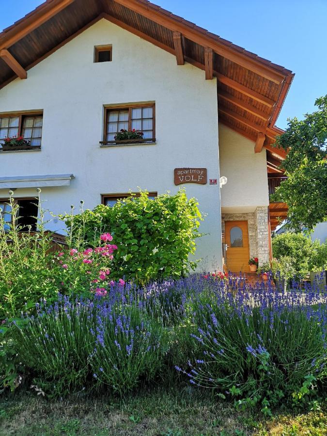 Apartmaji Volf Zgornje Gorje Ngoại thất bức ảnh