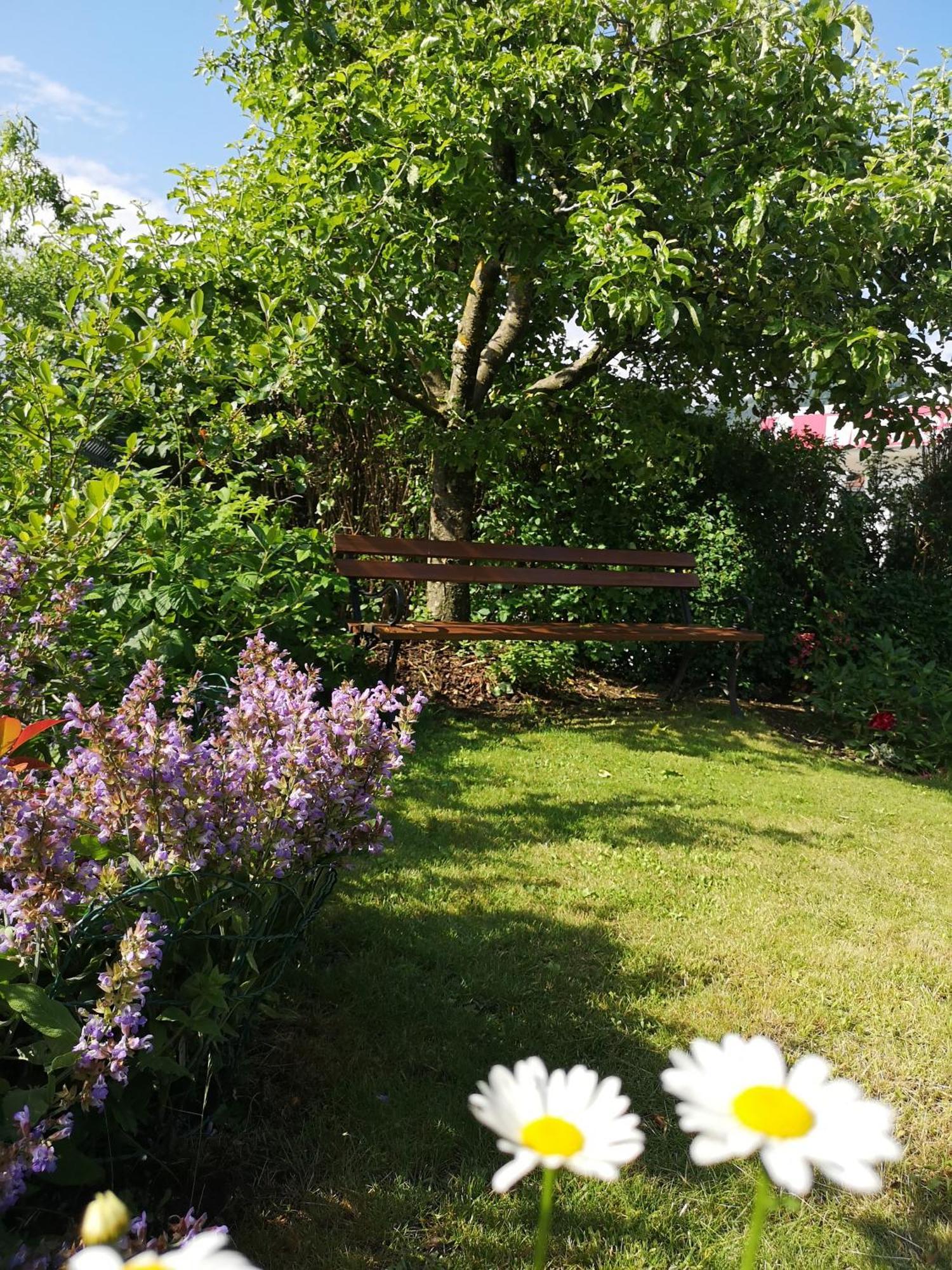 Apartmaji Volf Zgornje Gorje Phòng bức ảnh